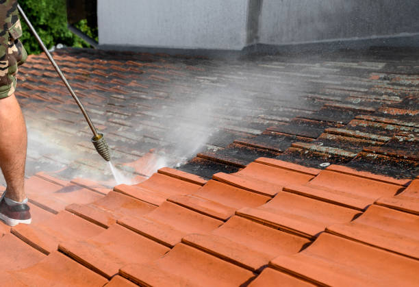 Best Commercial Building Pressure Washing  in Kenai, AK