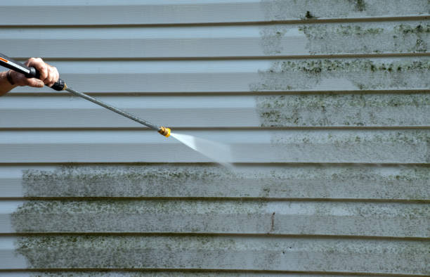 Best House Pressure Washing  in Kenai, AK